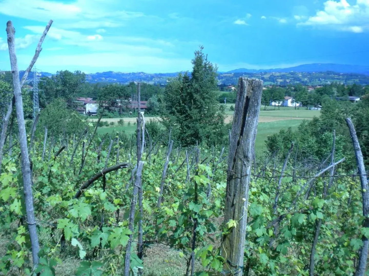Agriturismo La Dimora Del Contadino