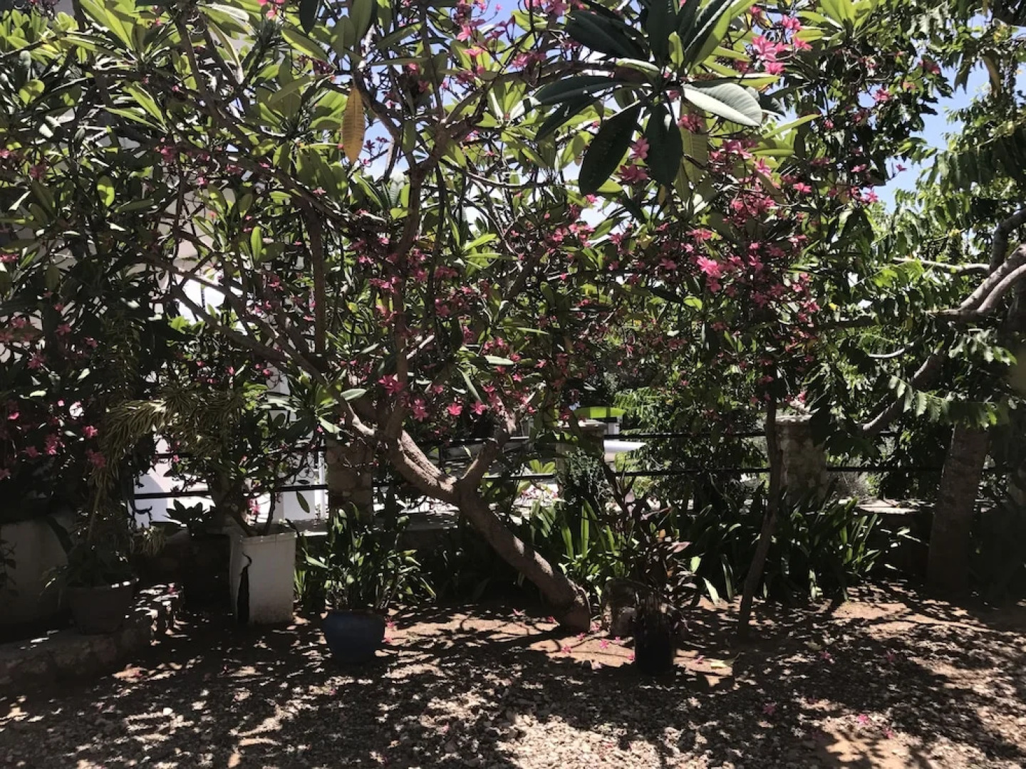 Les Jardins de l'Ocean