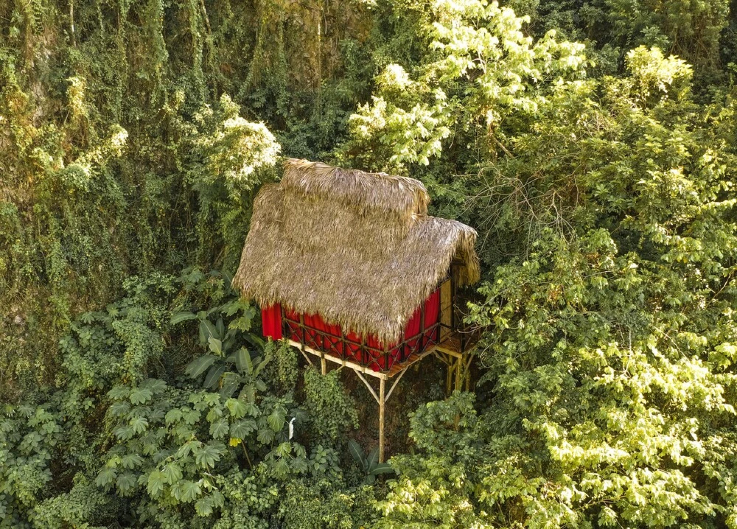 Dominican Tree House