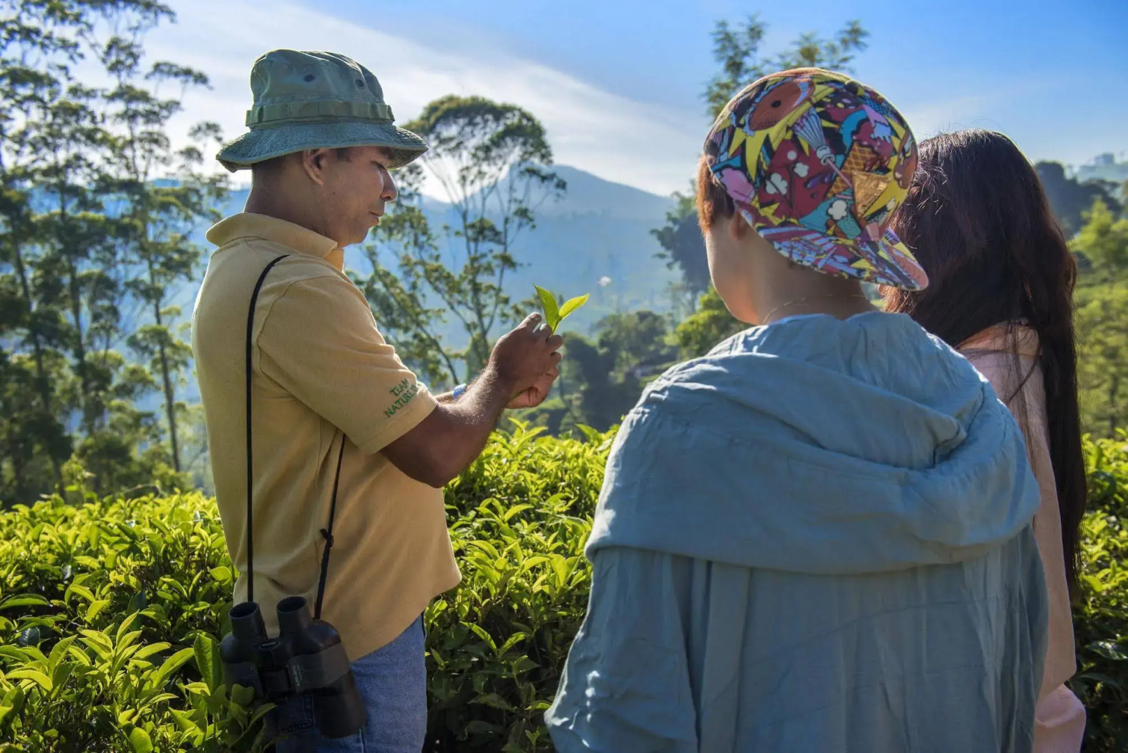 Dickoya by Zinc Journeys