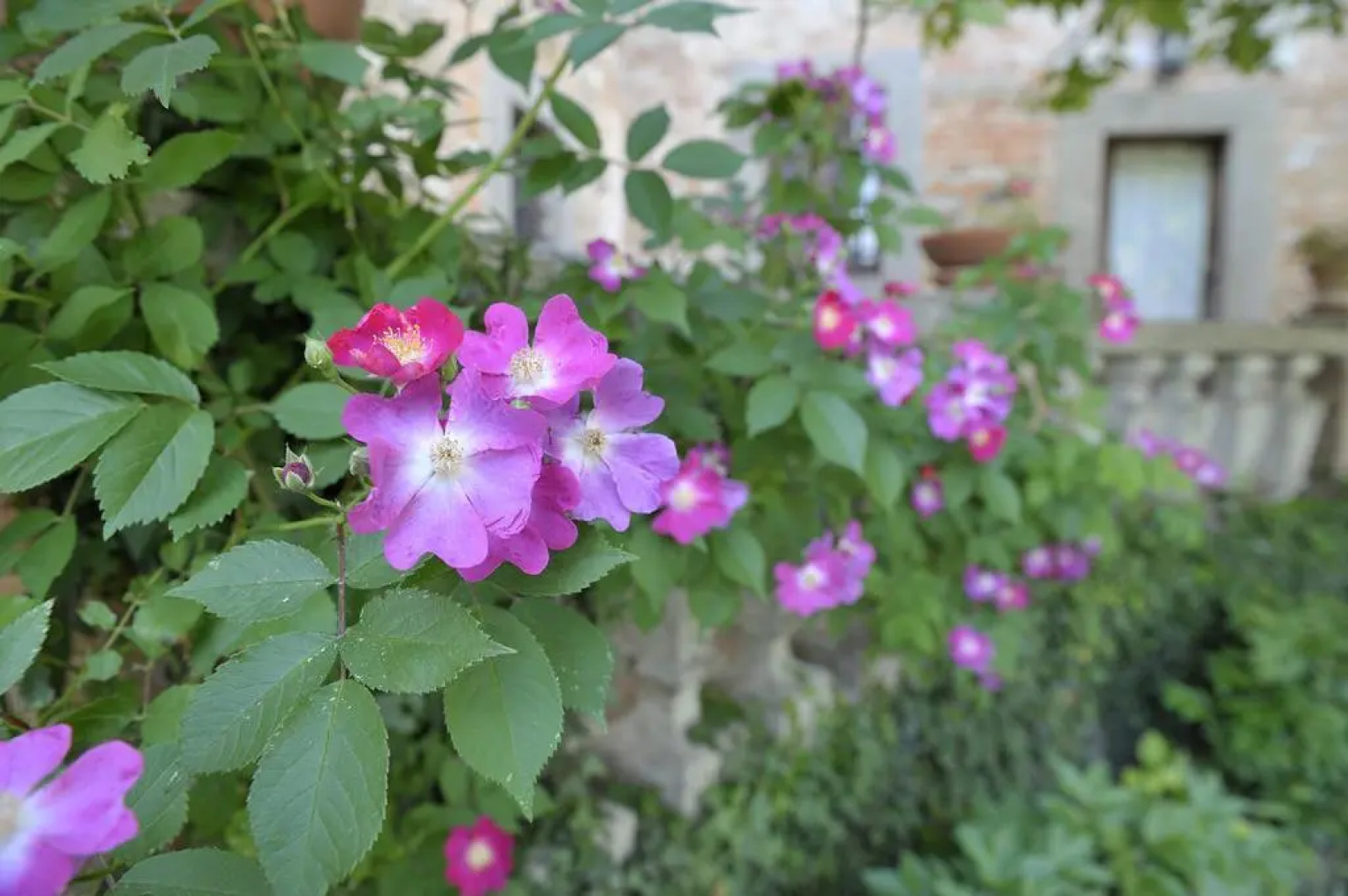 Villa Medicea Lo Sprocco