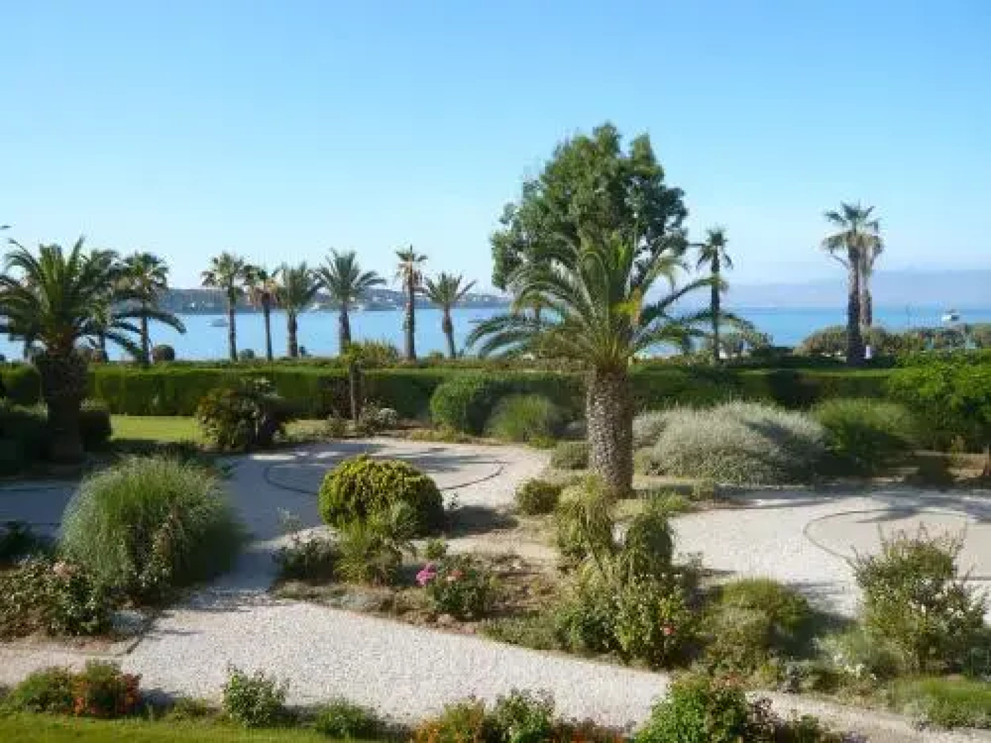 Apartment La Plage Dorée