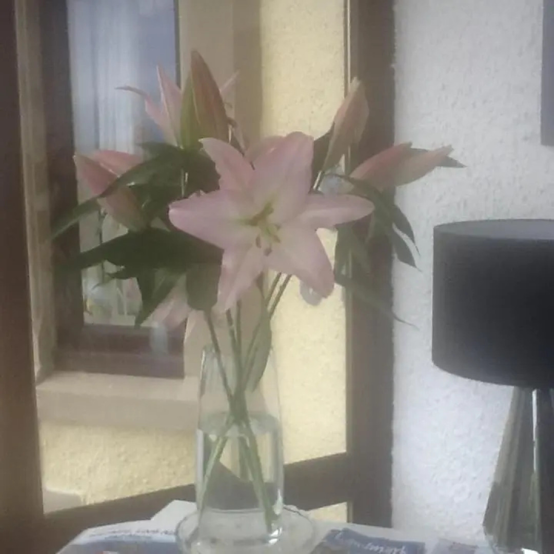 "Stunning Sea-Views" at Wetherby Nairn