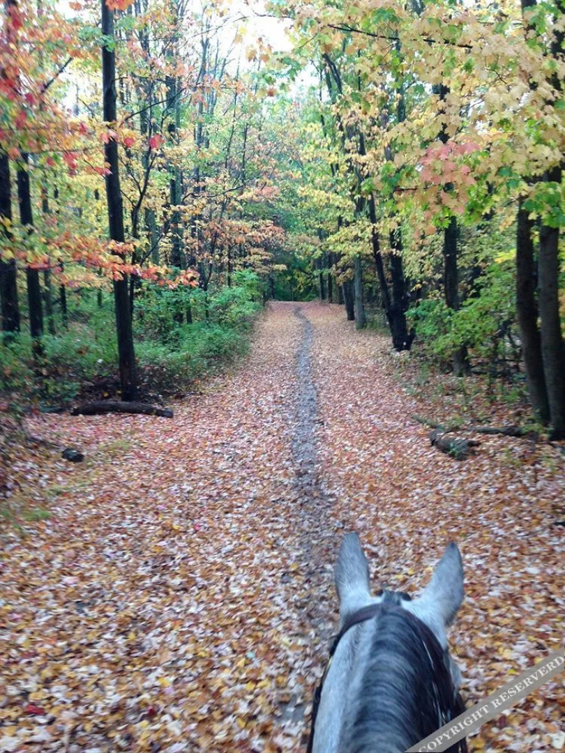 Pinegrove Family Dude Ranch