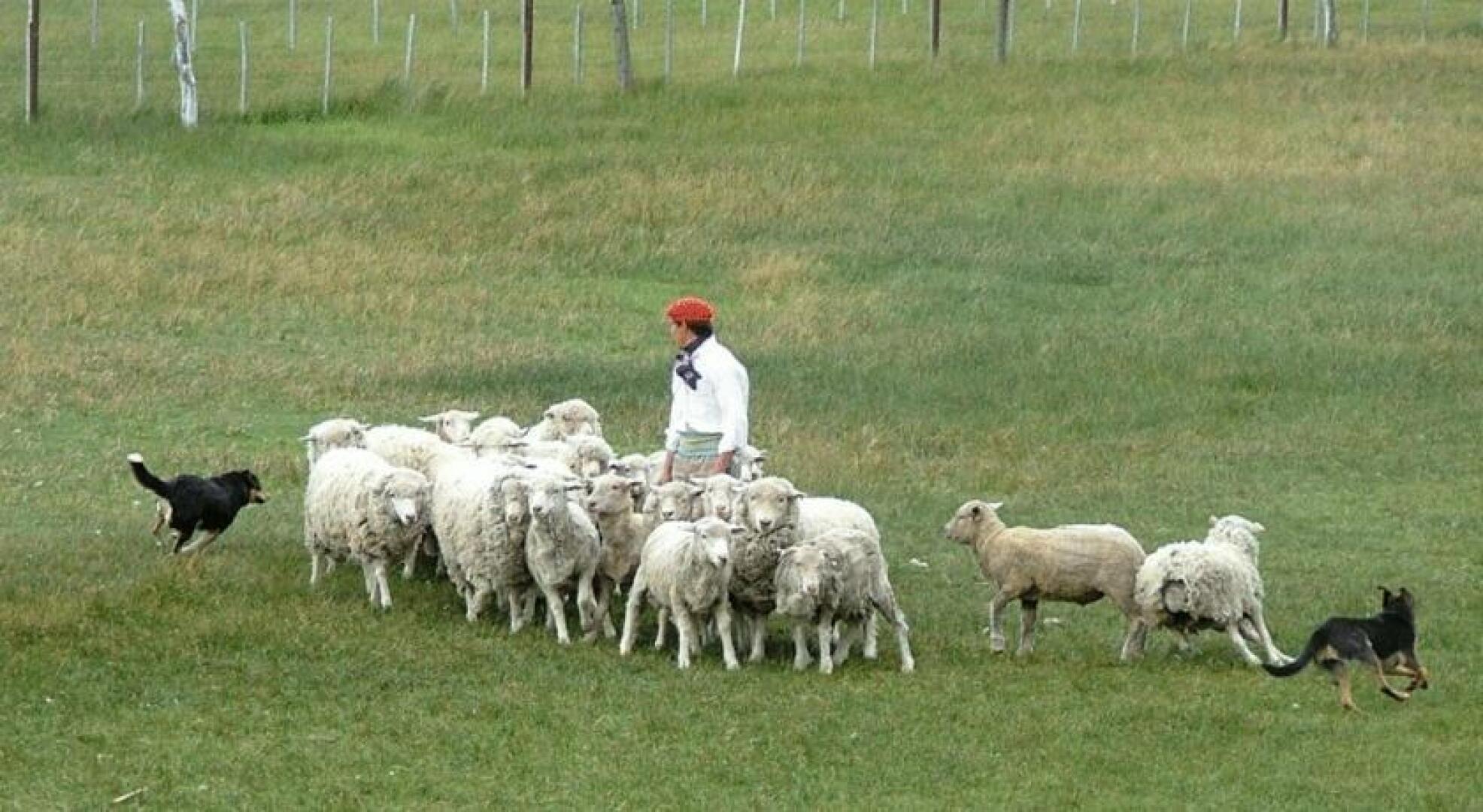 Hosteria El Galpon Del Glaciar