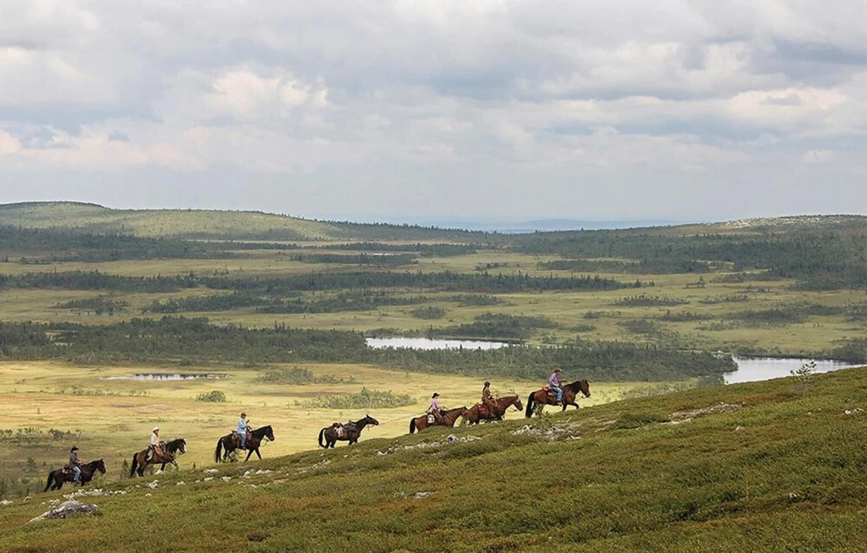 Nice Home in Vemdalen With 2 Bedrooms and Internet