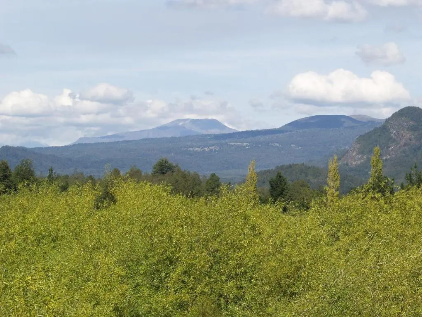 Complejo Buenavista Pucon