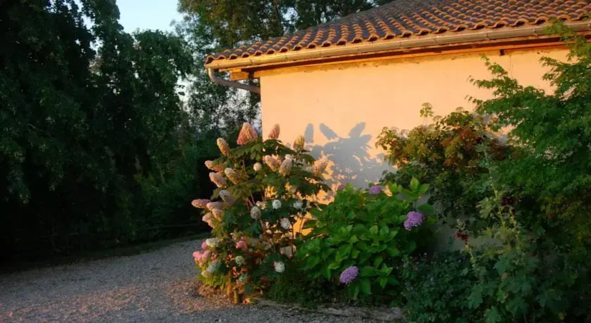 Les Vignes de Darneche