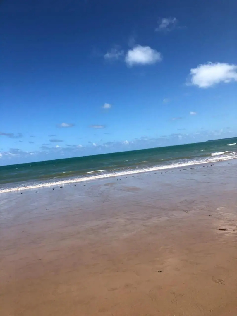 Verão on