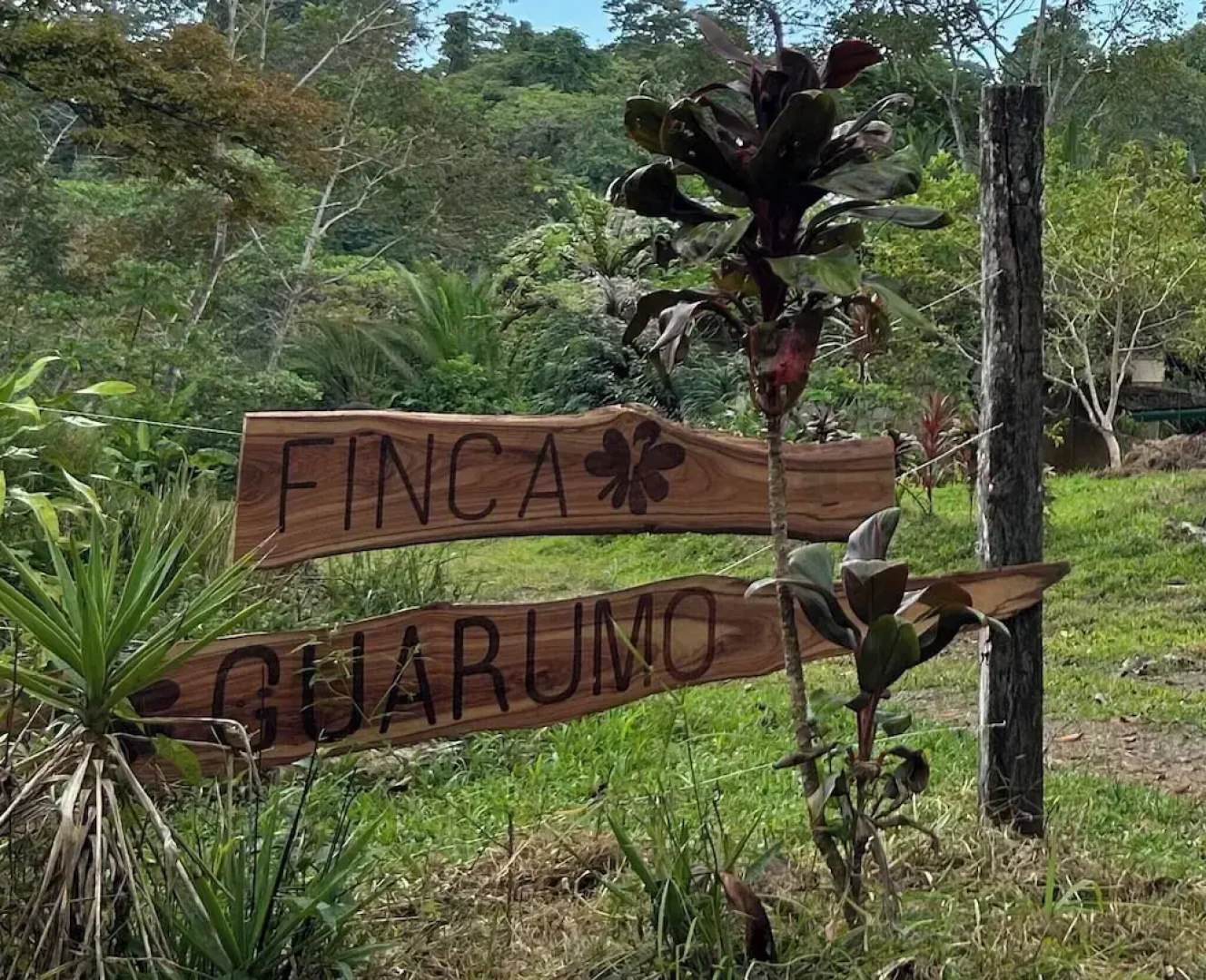 Villa Bruno - Terrace - Jungle - Birdwatching