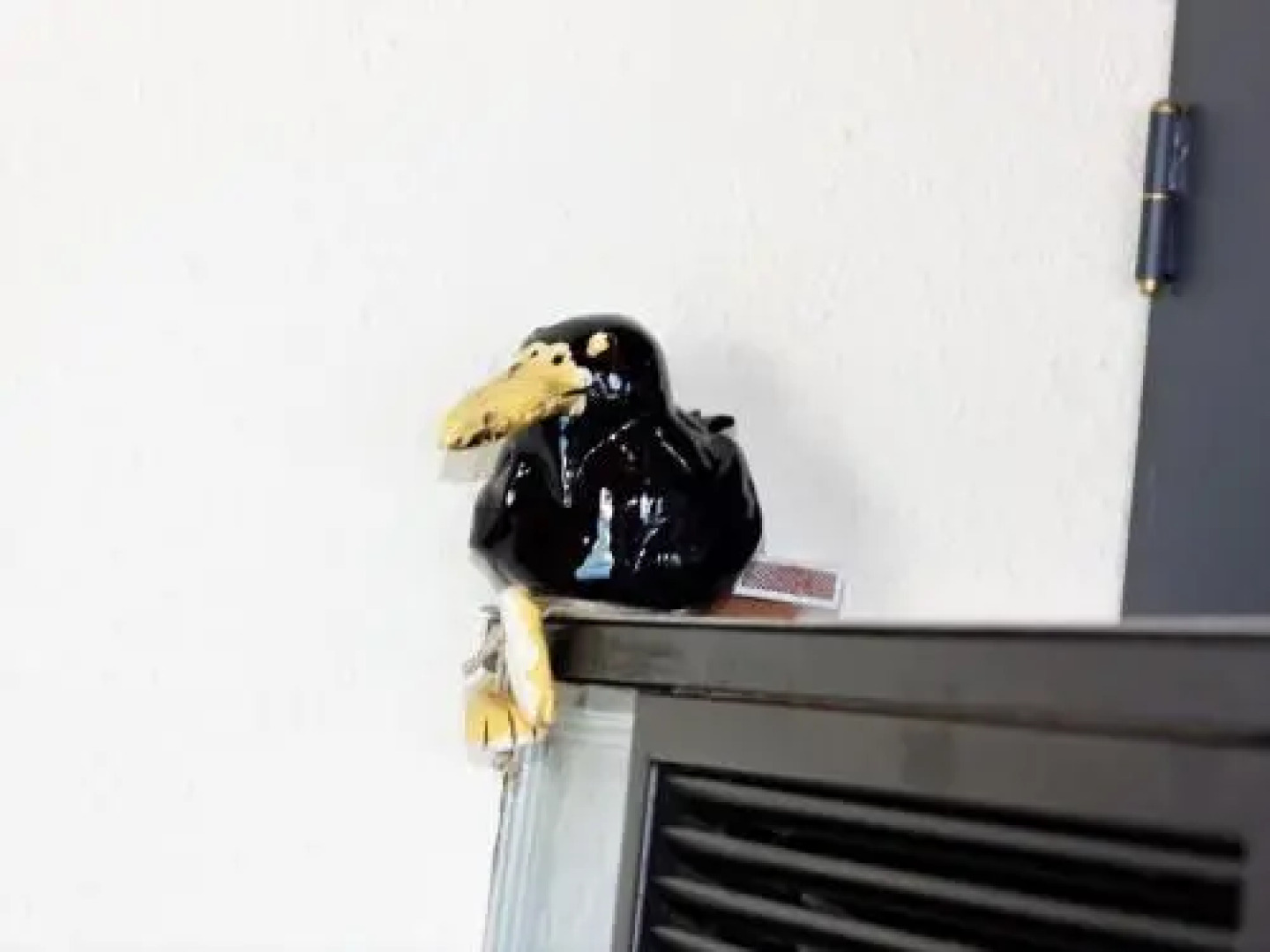 Feriendorf Grafenhausen