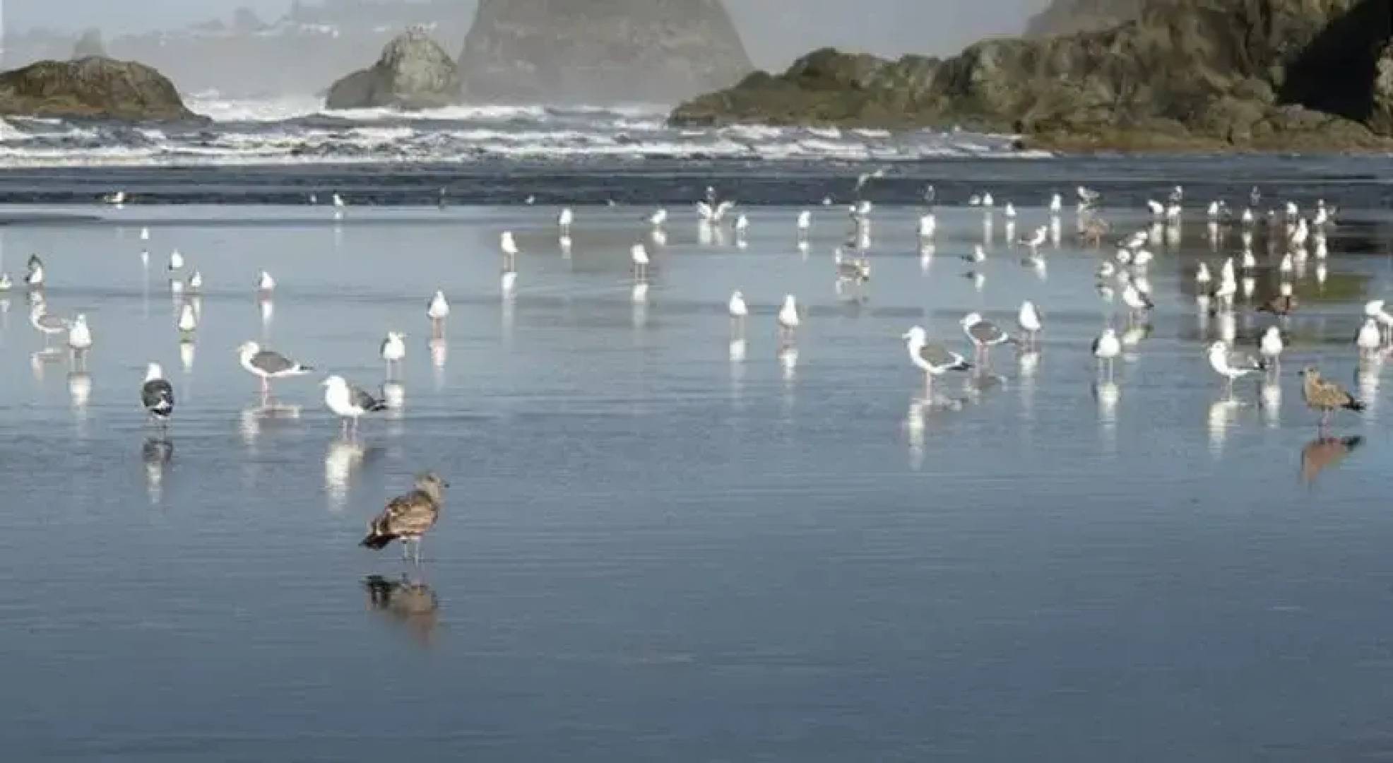 RedAwning Prairie Beach Home