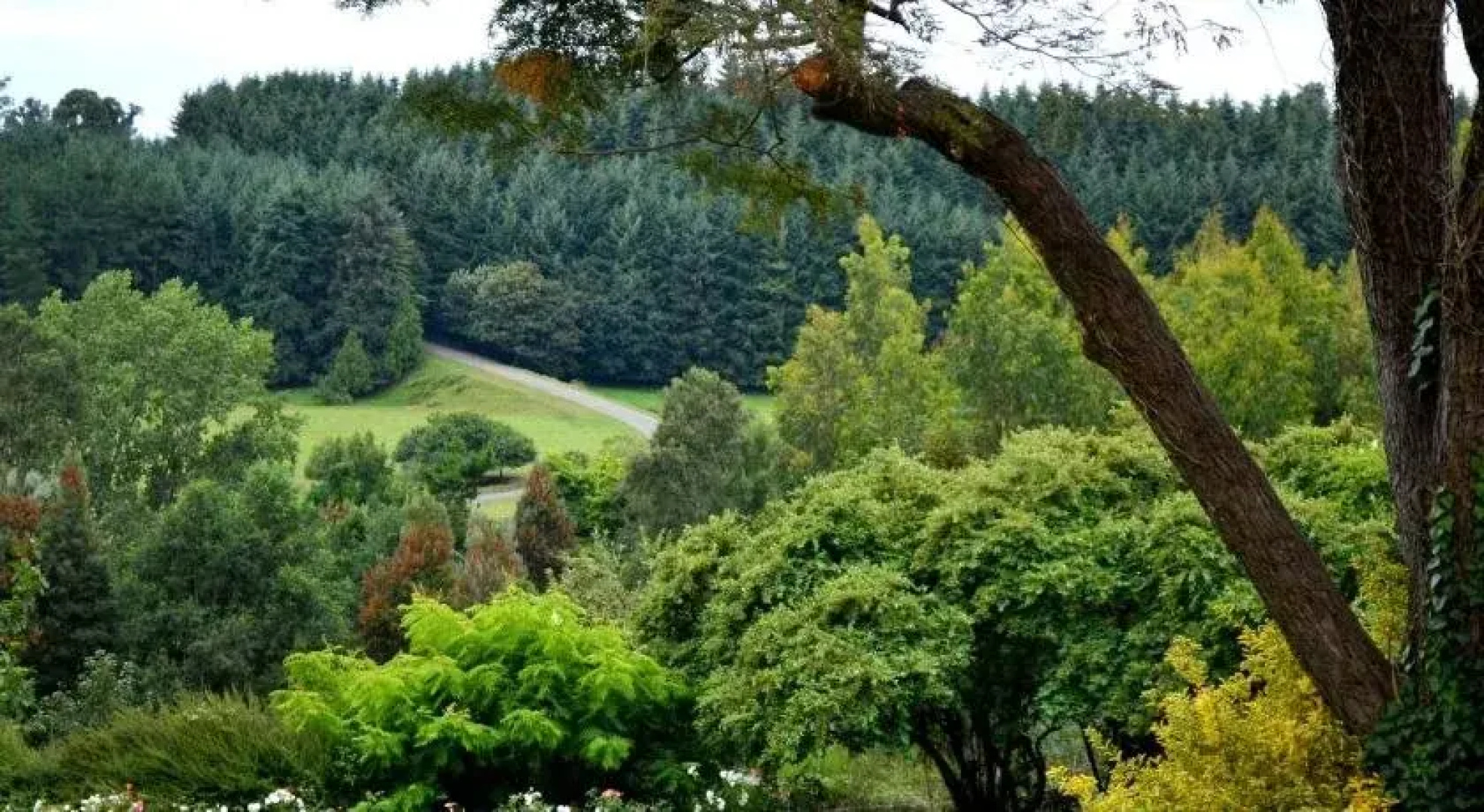 Santuario Patagonia Hotel Boutique