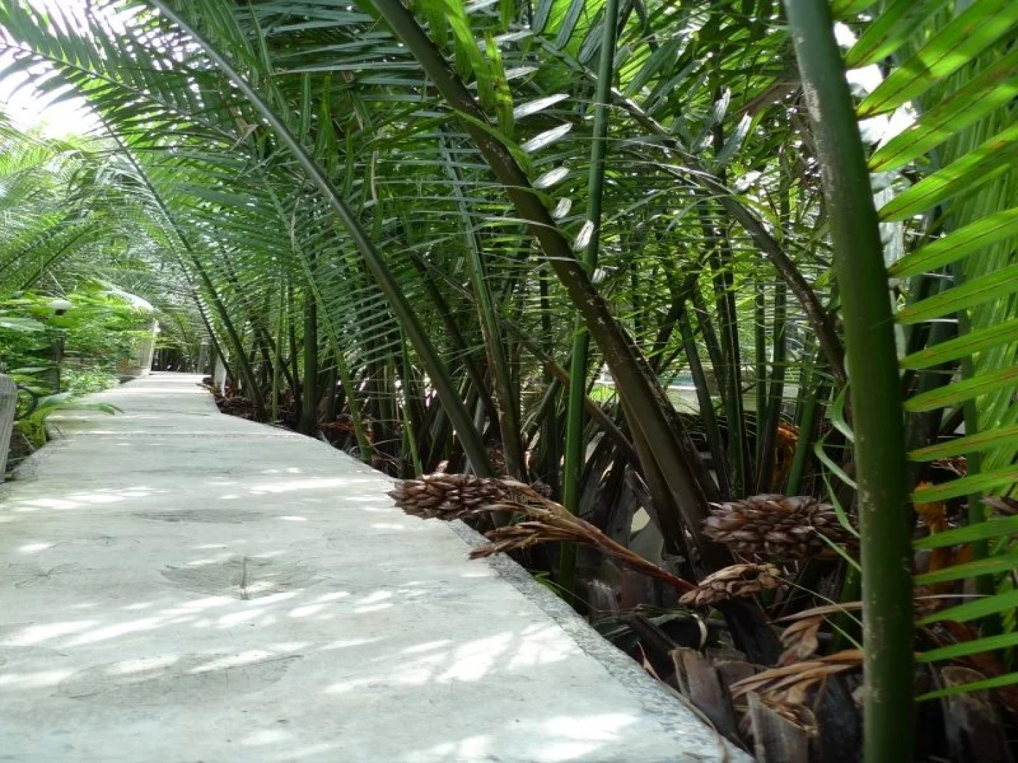 Punntara Botanic Home