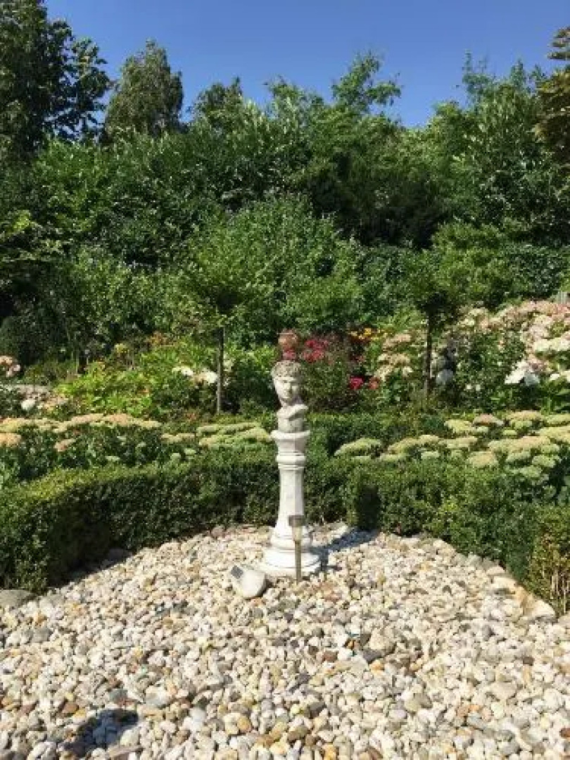 Bed & Breakfast The Rose