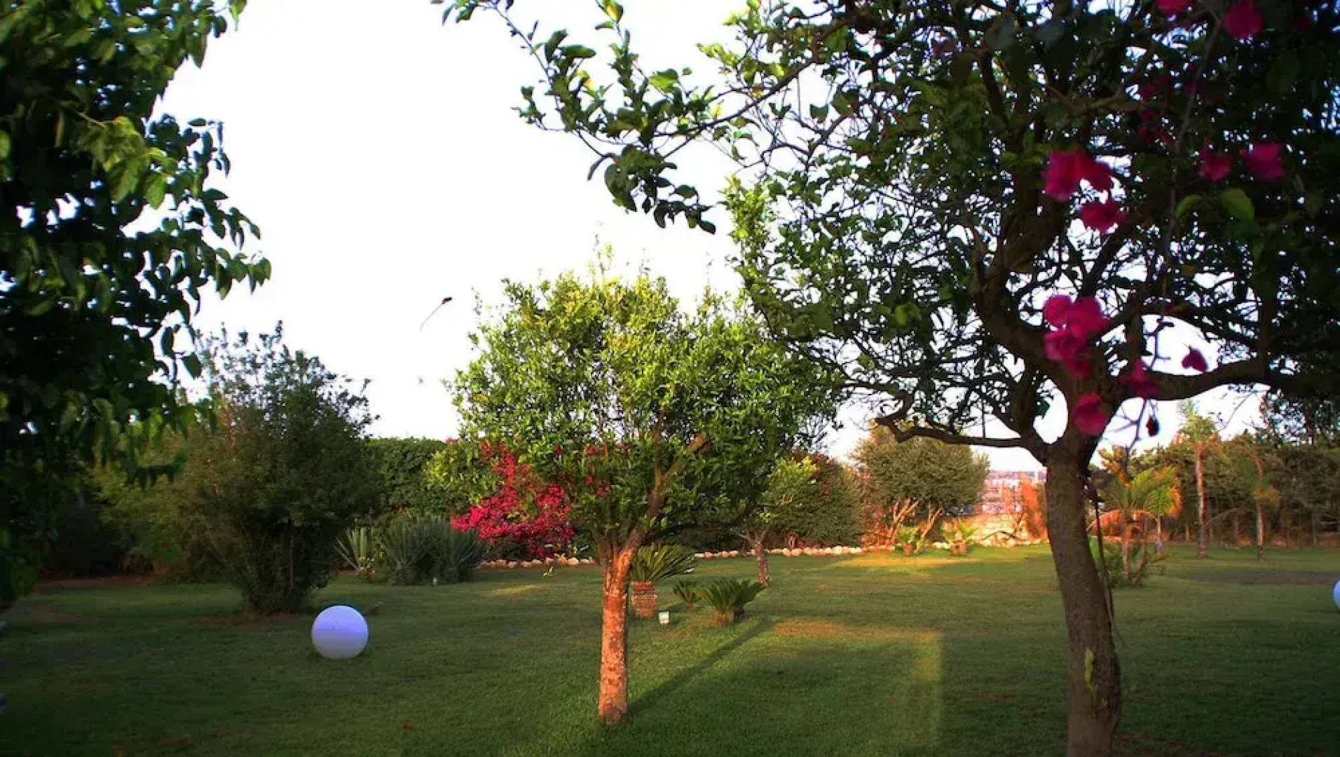 Villa Savarino