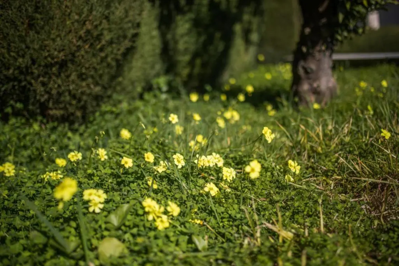 VILLA GIPSY, Villefranche-sur-Mer