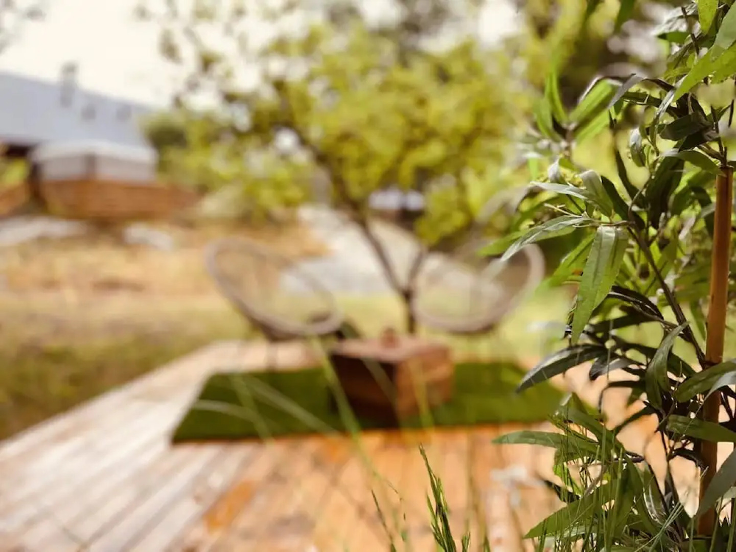 B&B Glamping Tent Sleeps 2 - Sauna, Spa, Wifi