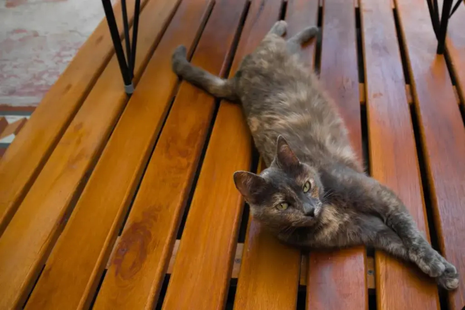 Vagamundo Hostel Carhue