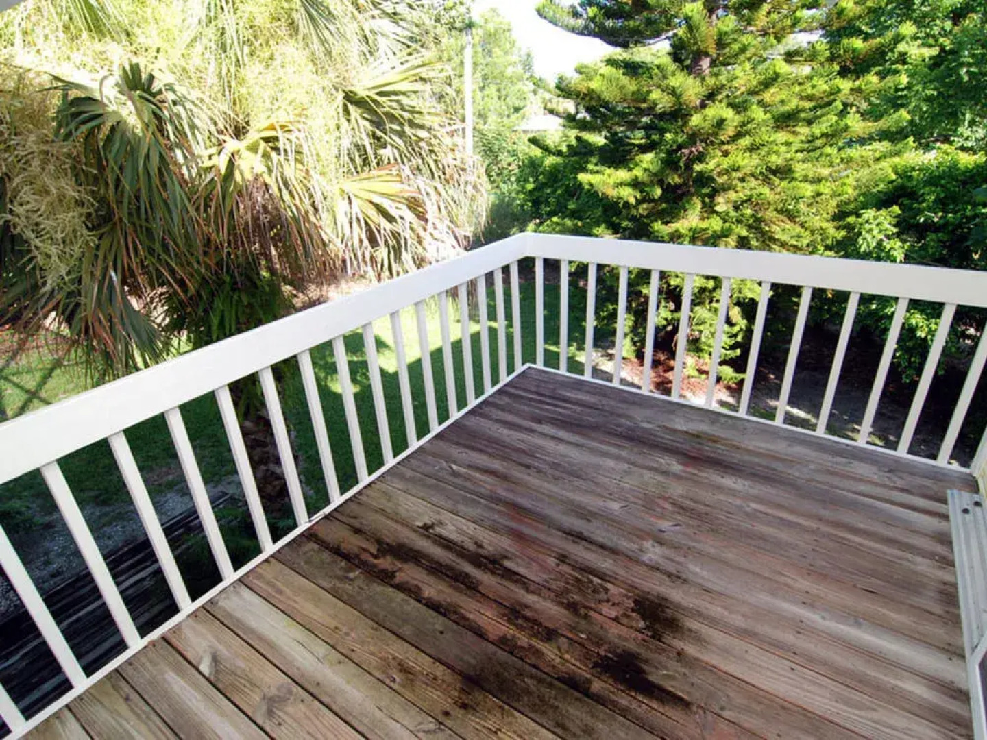 Yellow Bird Home by RedAwning