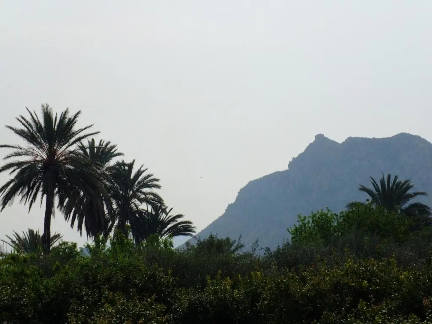 La Joya del Valle de Ricote