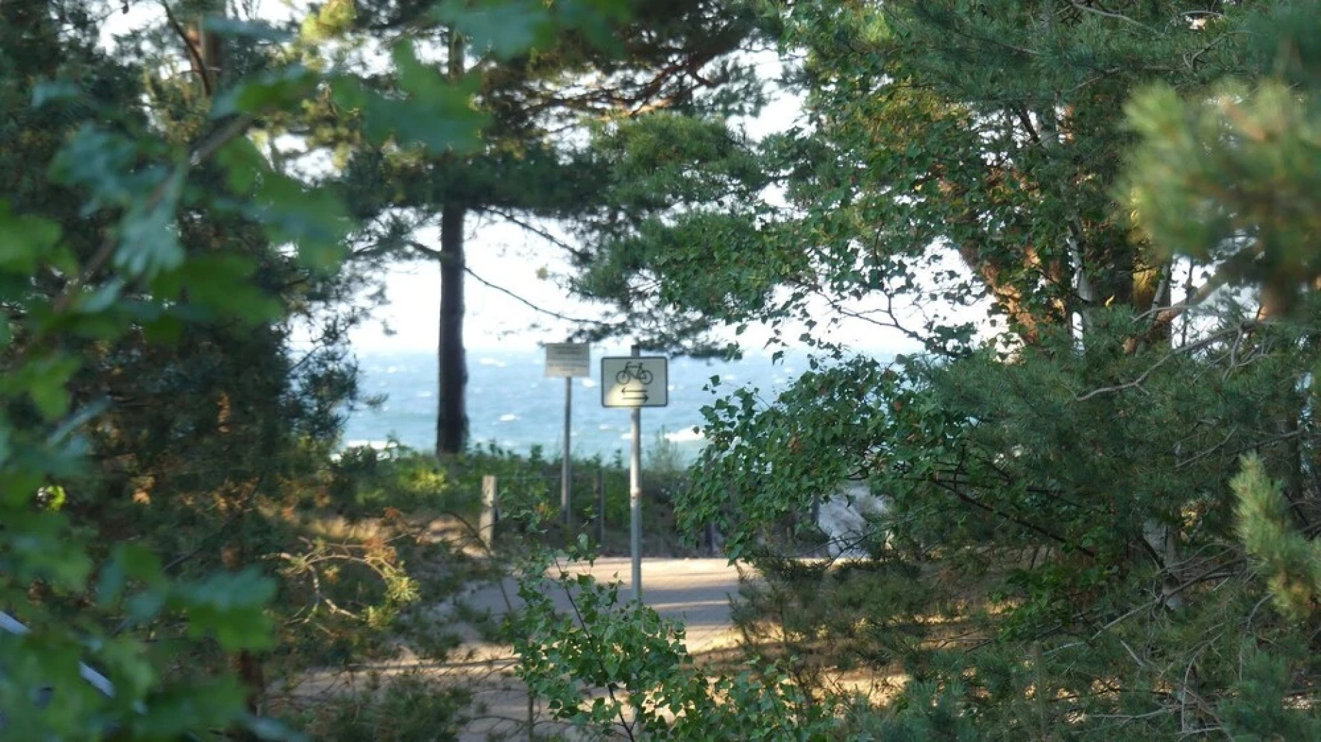 Zu Haus in der Ferne