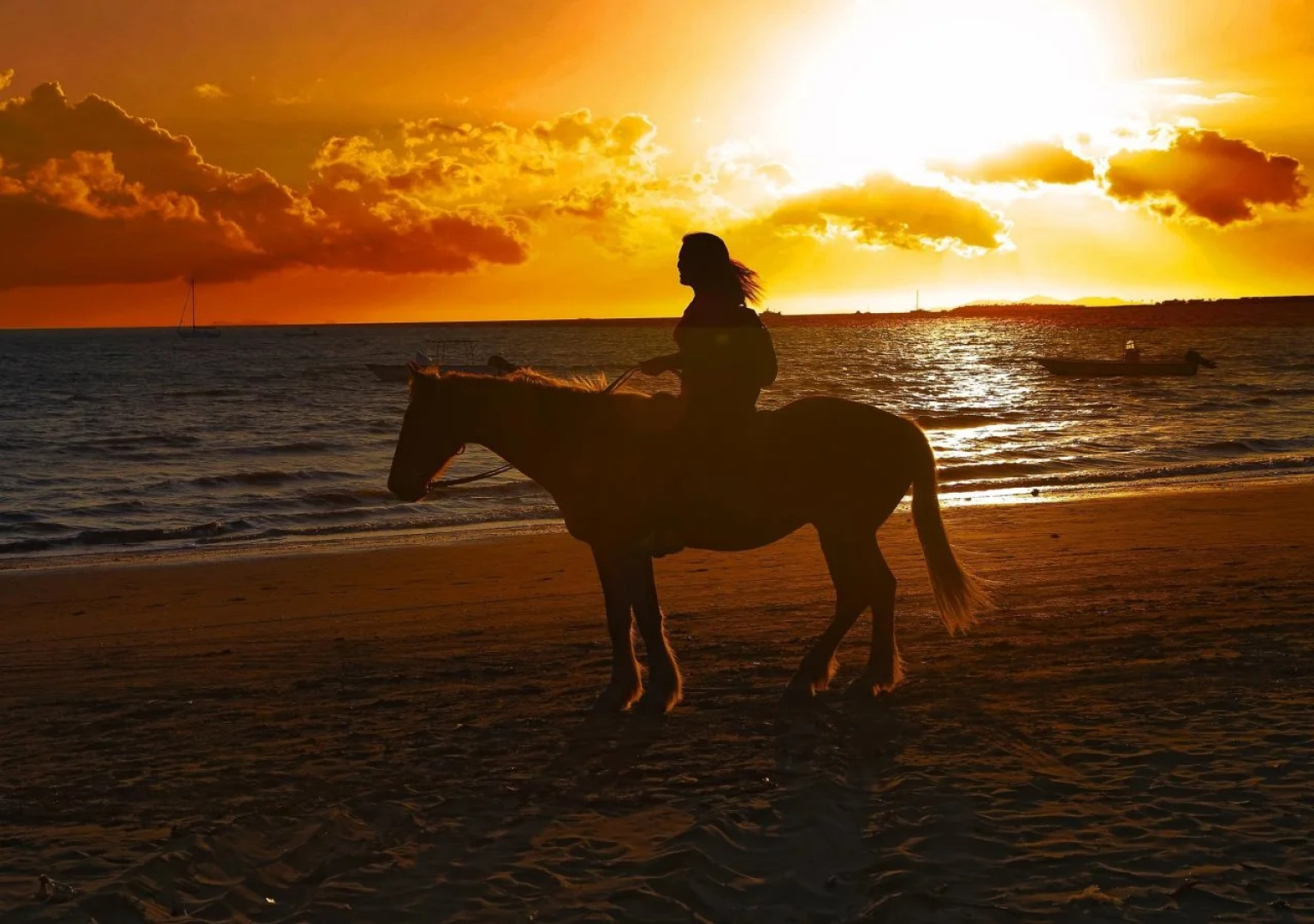 Aquarius on the Beach
