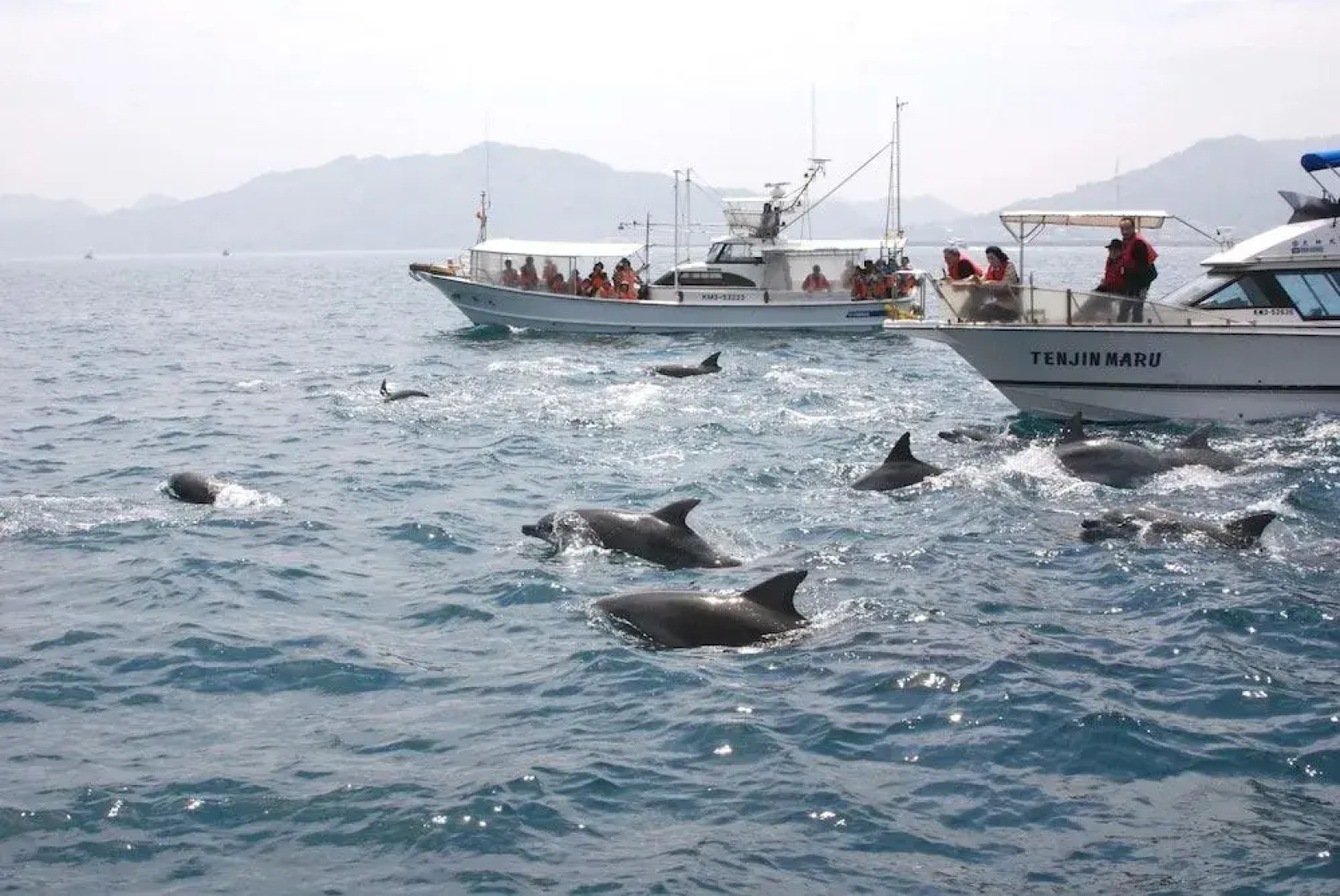 Hotel Shouryuen Kaisei