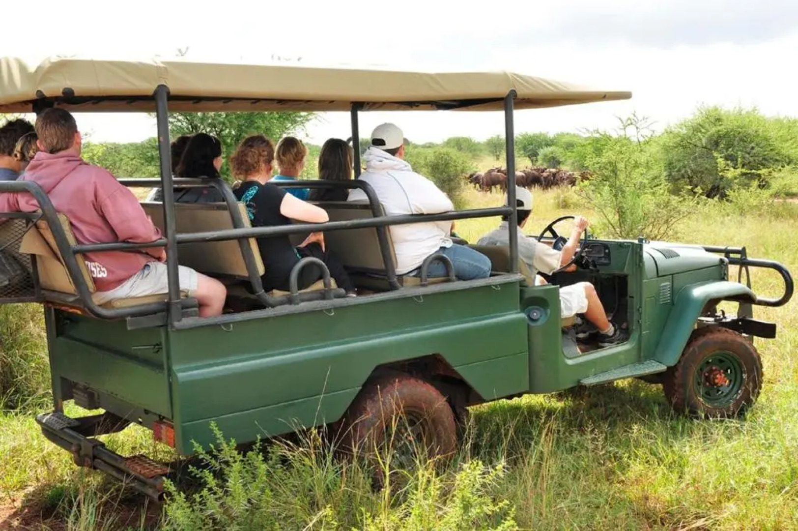 Sondela Nature Reserve & Spa Moselesele Tents