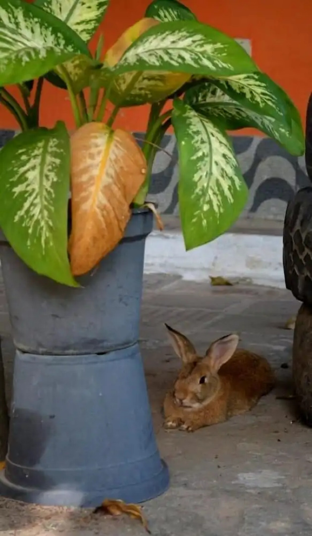 Pousada Porto do Sol