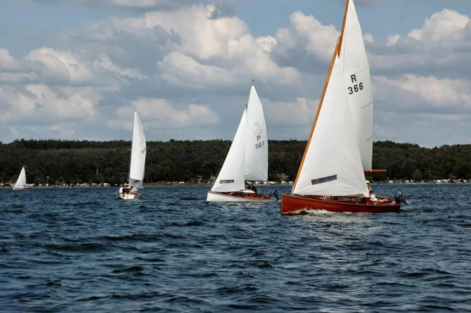 Haus 7 Apartment 2 Hundefreundlich