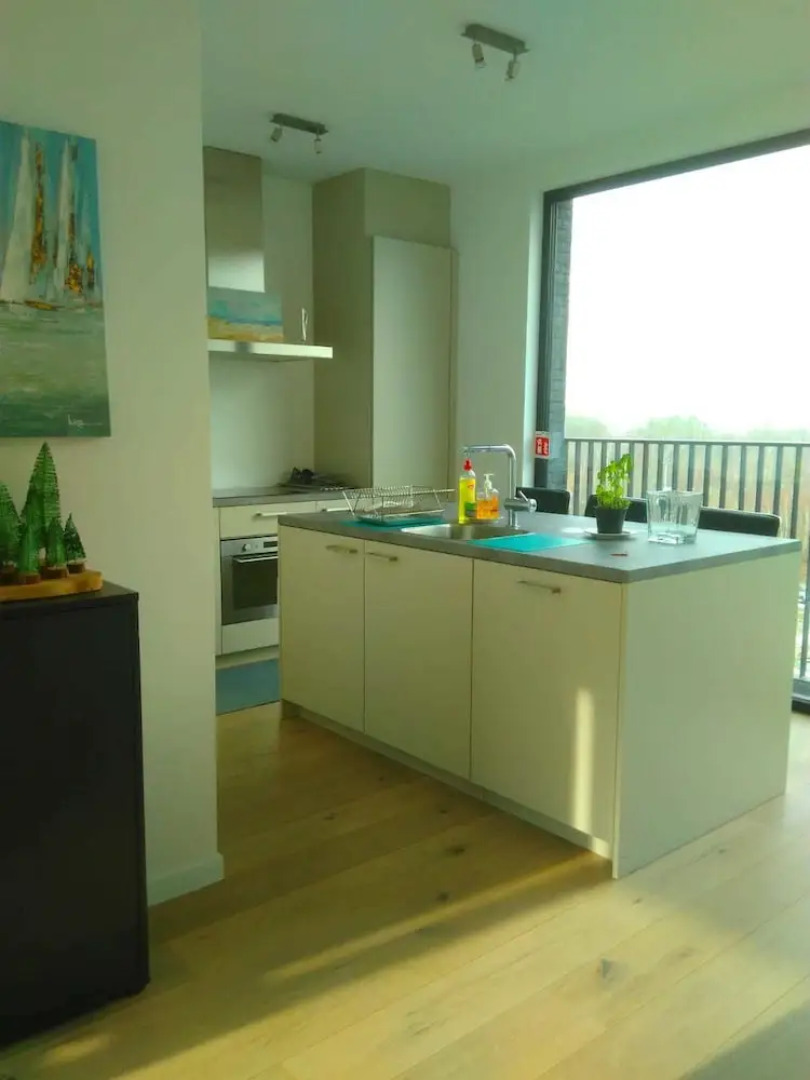 Fully Equipped Sunny Apartment