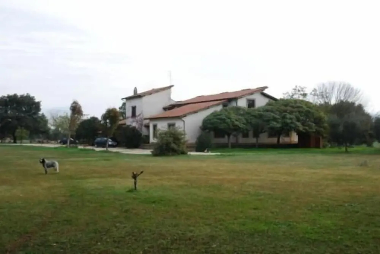 Bicoca - Nuova Fattoria