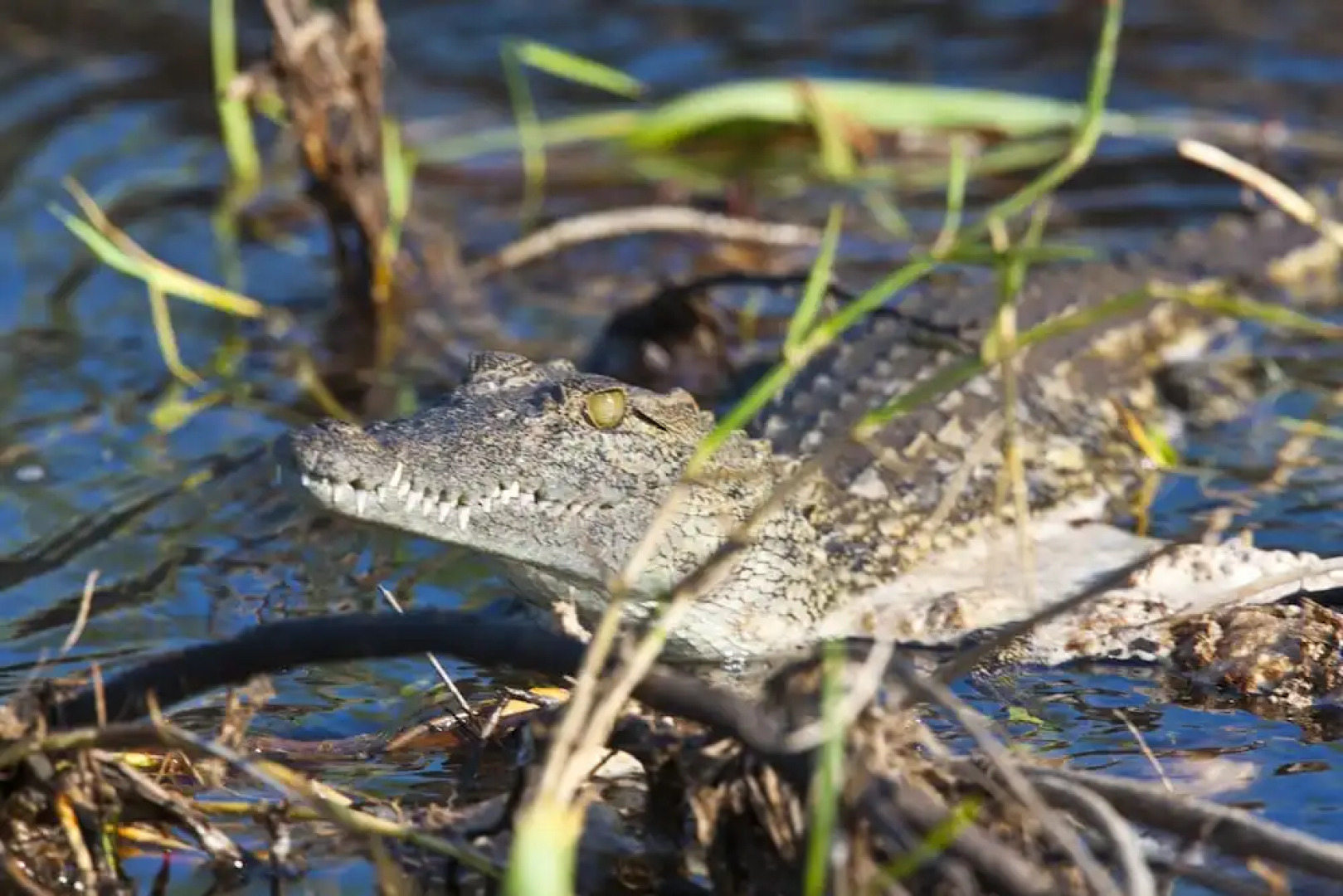 NWR Popa Falls Resort