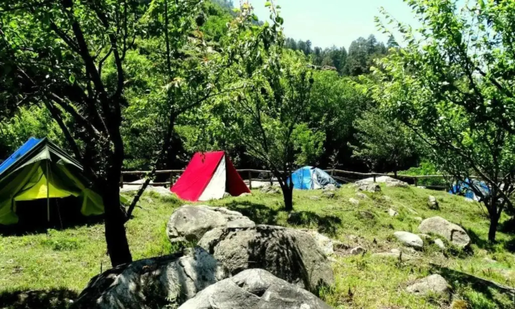 Tirthan Holidays Camp & Cottages