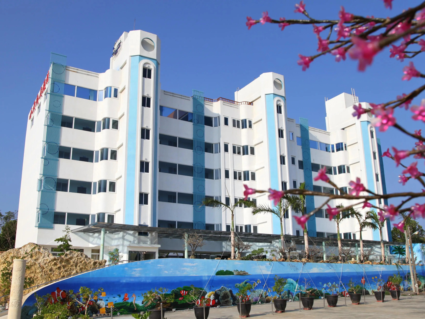 Clownfish Resort