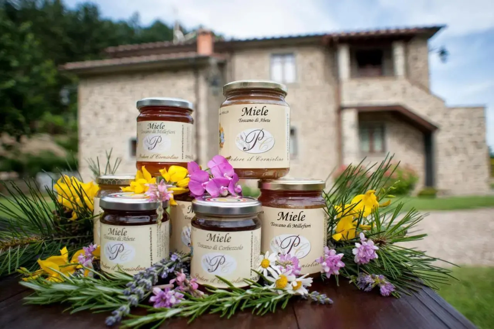Podere Il Corniolino