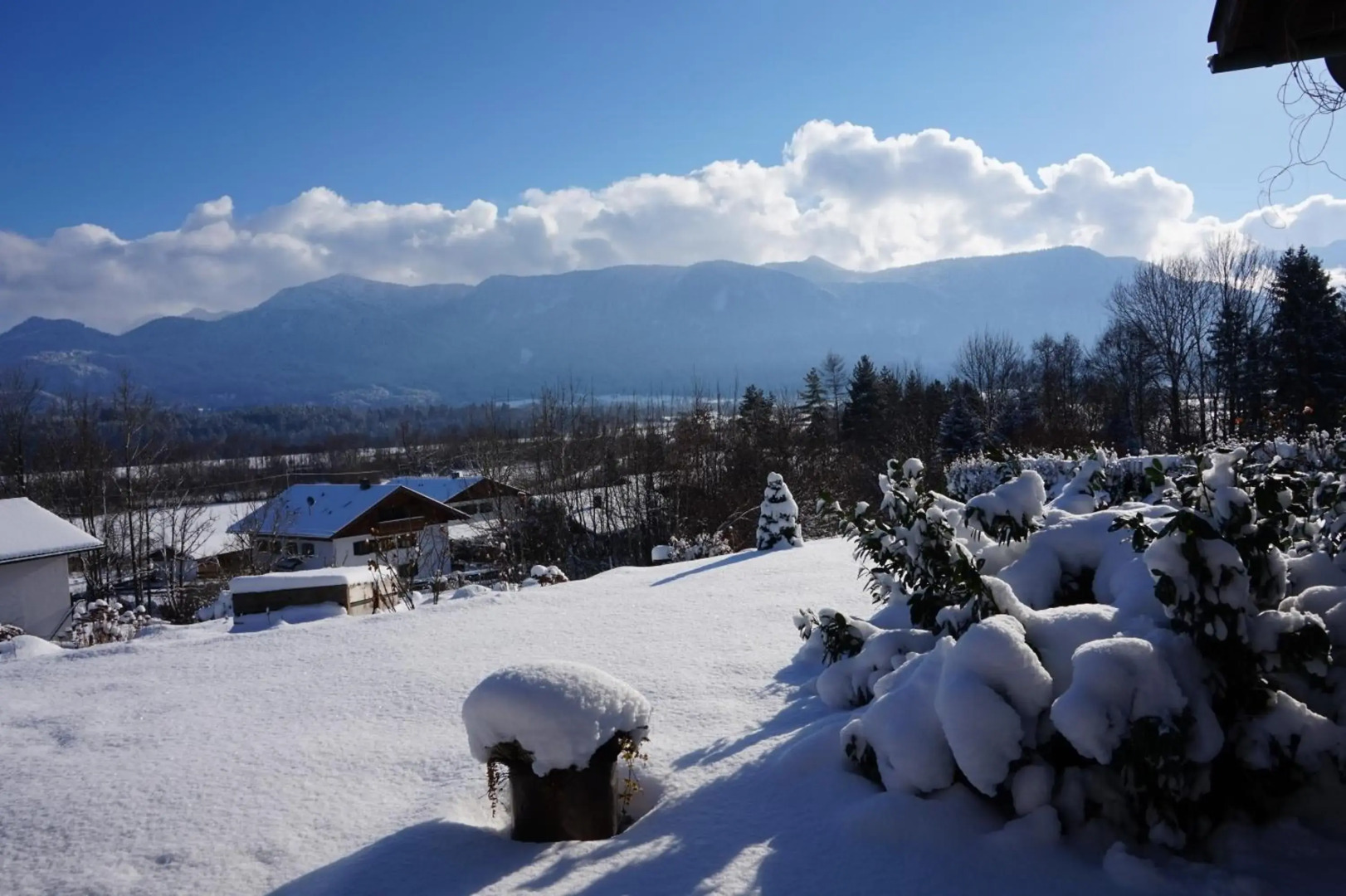 Studio Murnauer Moos