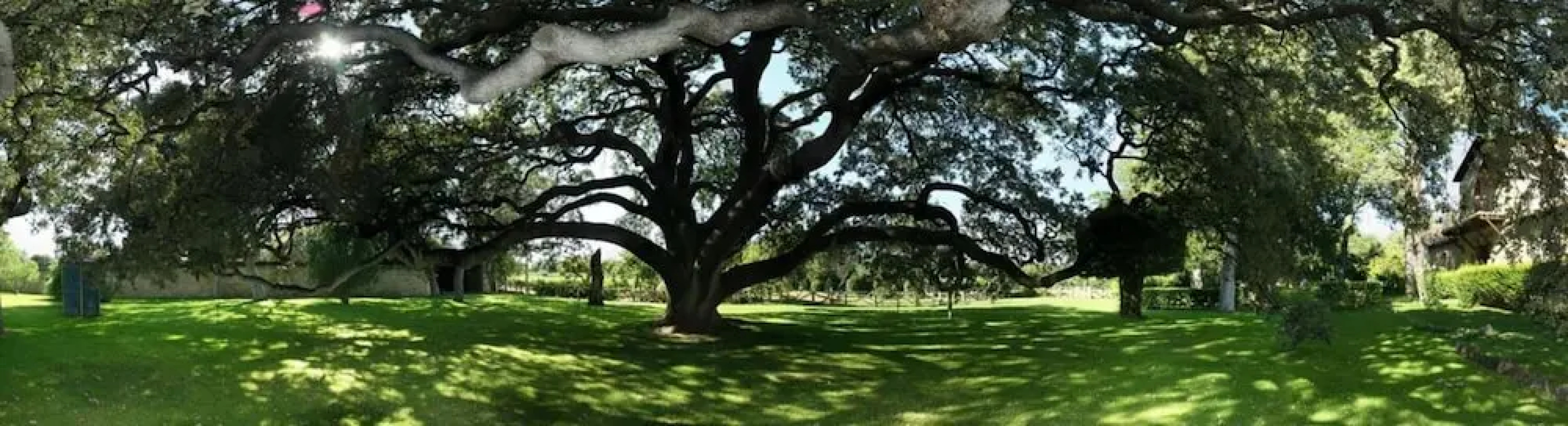 La Casita De La Planta