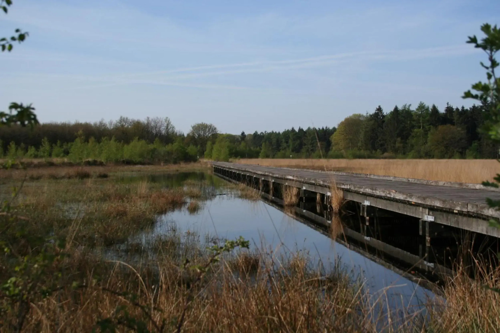 Vakantiehuis NamaStee