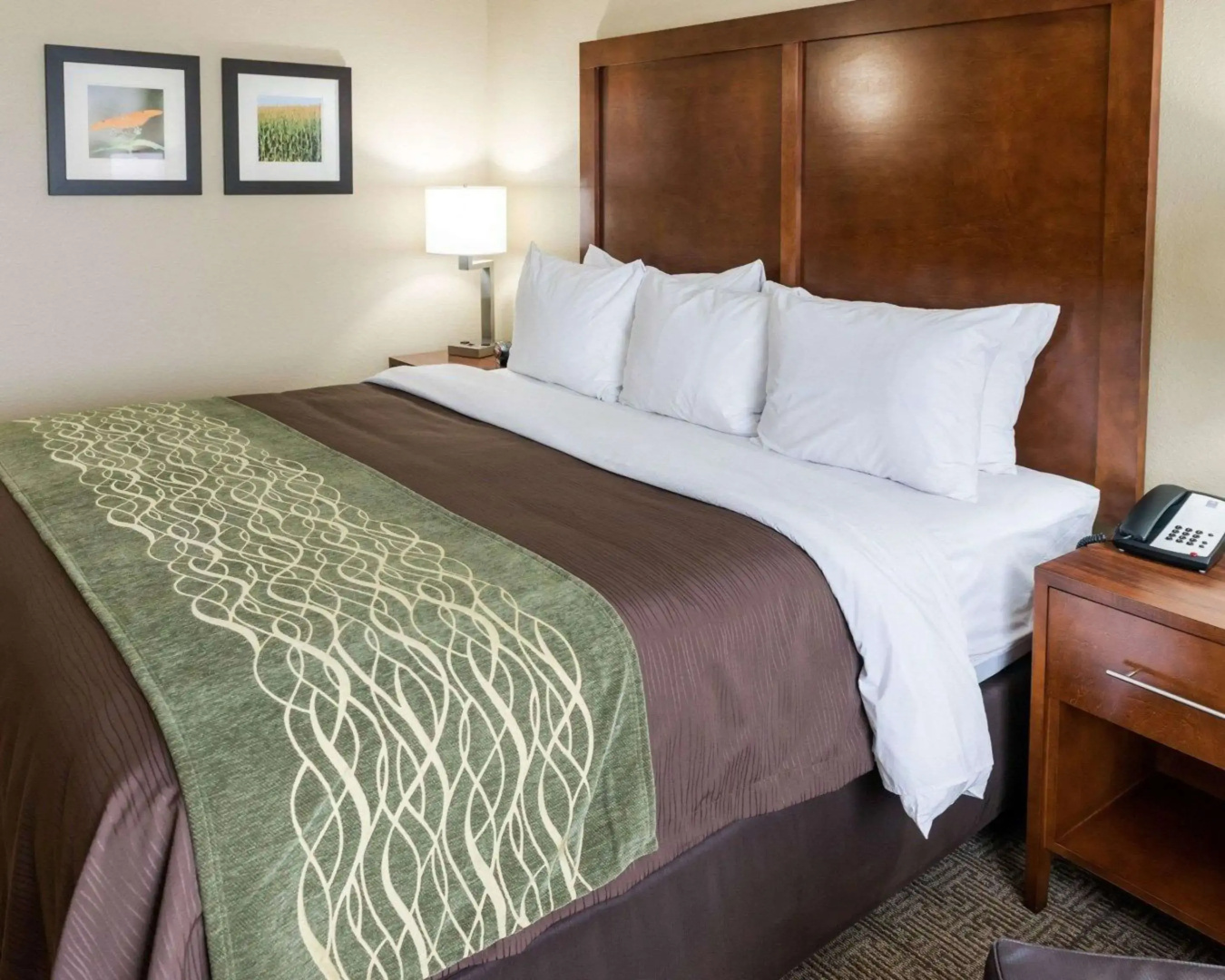 Comfort Inn & Suites West - Medical Center