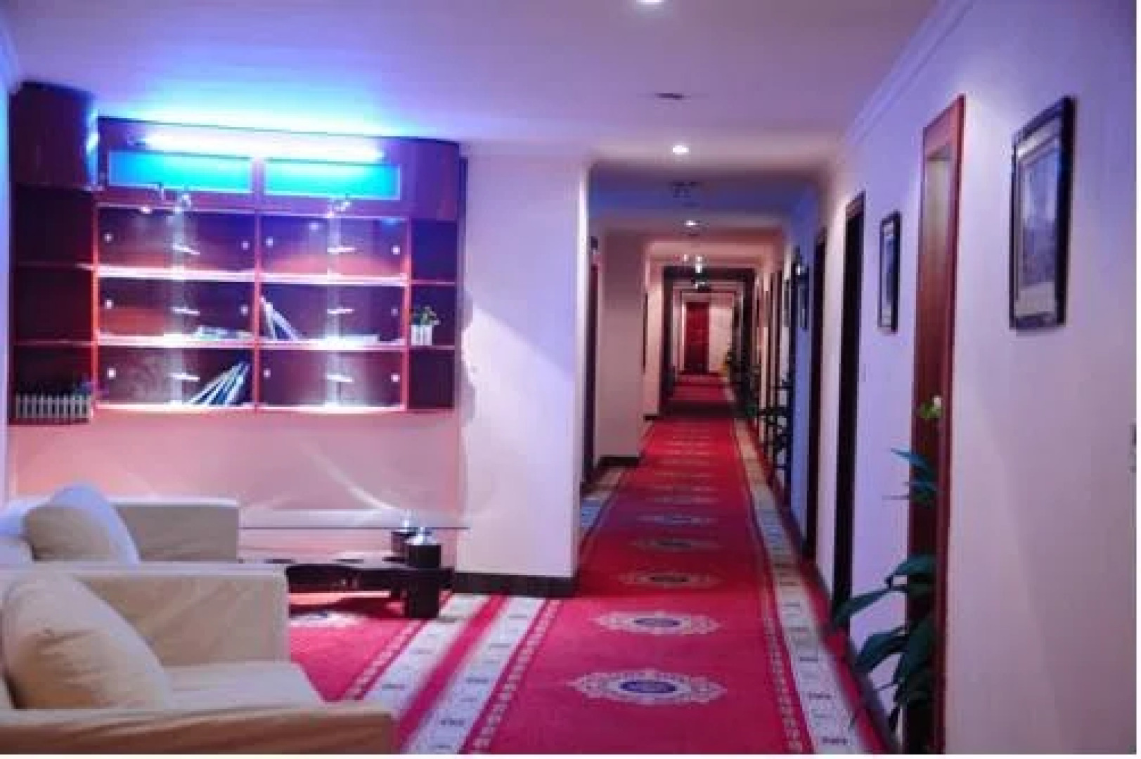 The Bog-Garden Hotel Lhasa