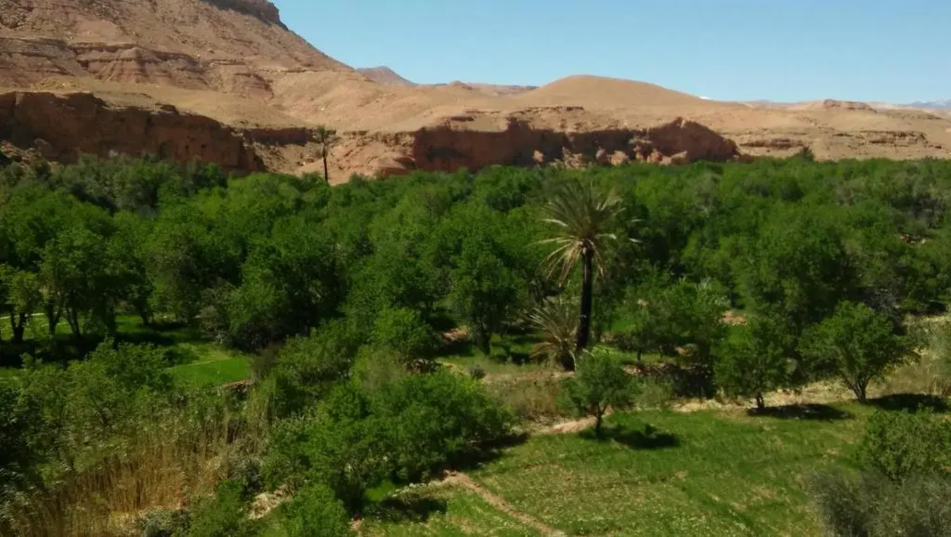 Riad Tigmi Du Soleil