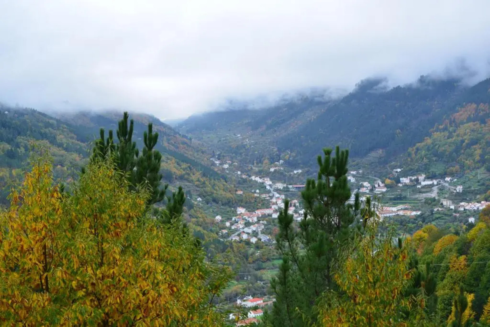 Terra Mista Alojamento Local