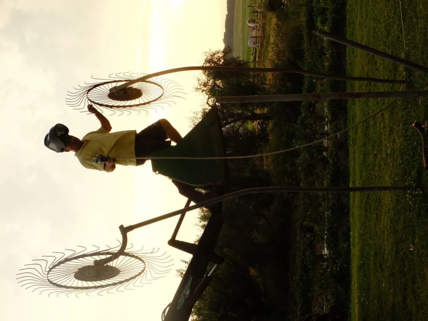 Agriturismo Al Girasole