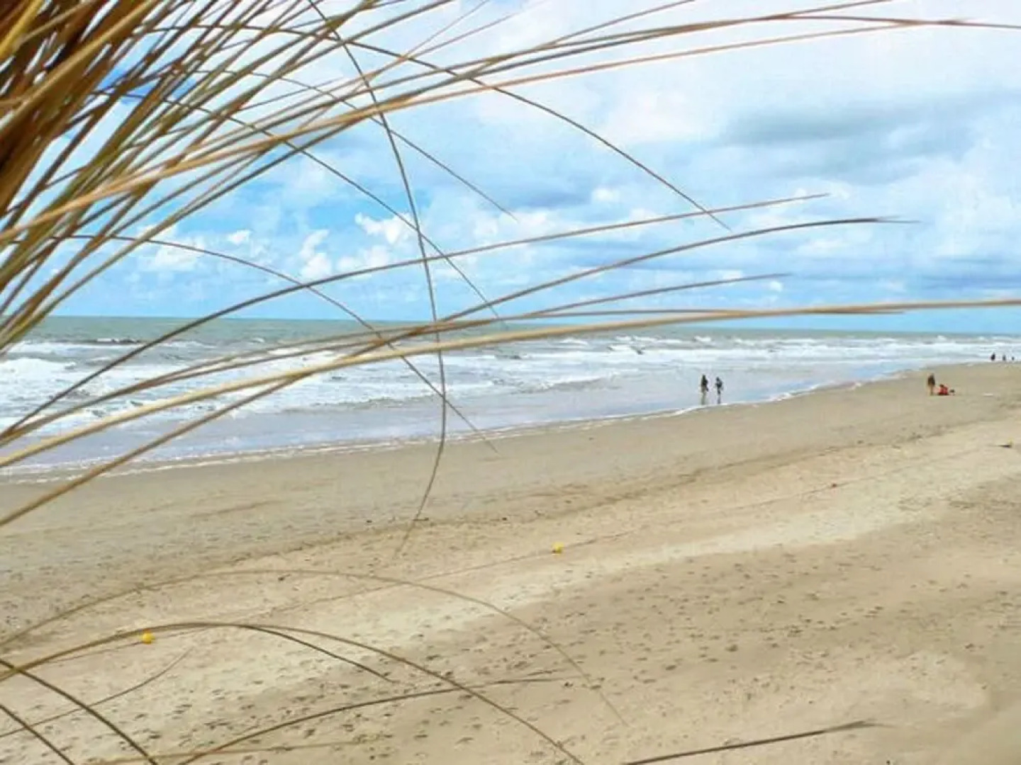 Cozy Apartment in Callantsoog near Beach