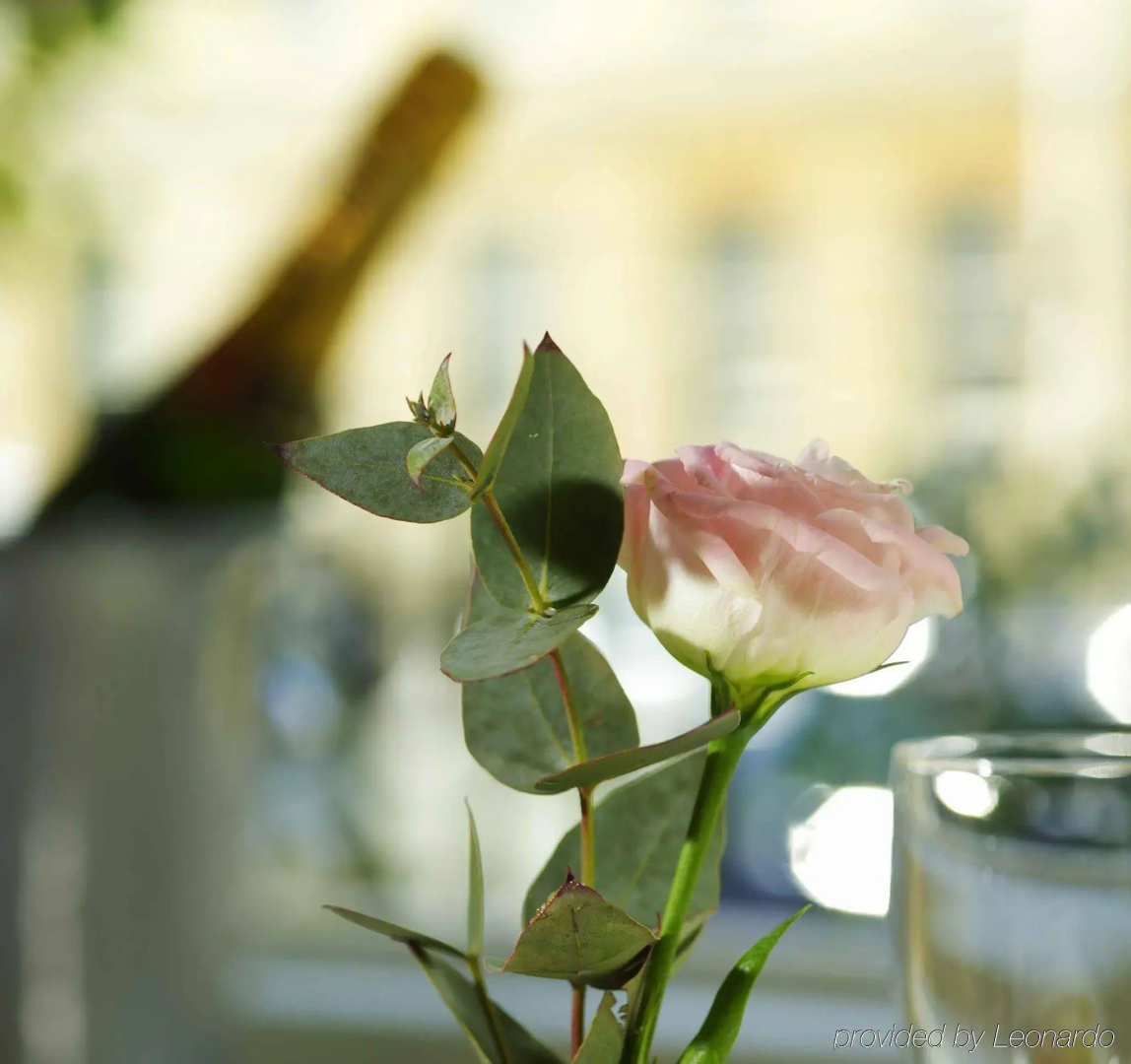 The Windsor Townhouse