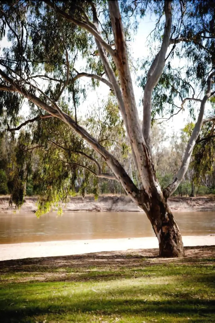 The Charles Sturt Motor Inn