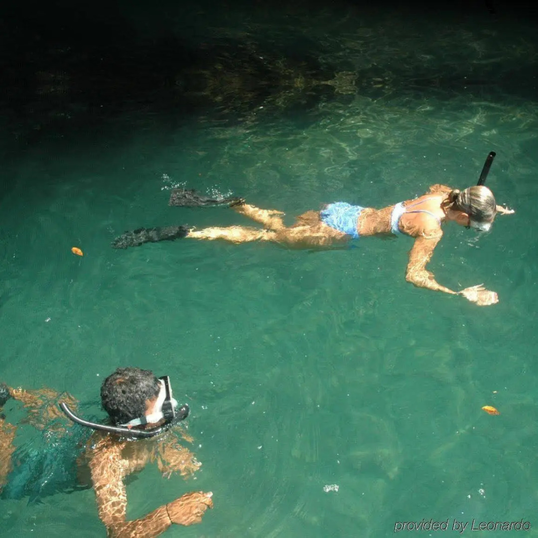 Playa Nicuesa Rainforest Lodge