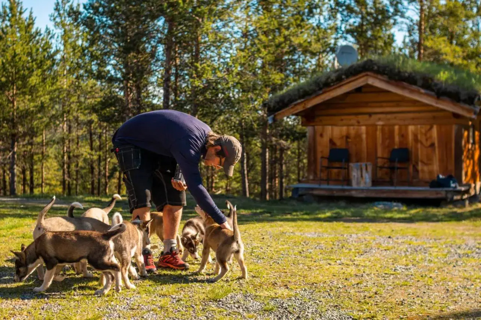 Jotunheimen Husky Lodge